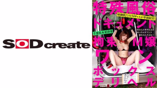 107SDHS-038 Kiềm Chế Masochist Một Hộp Giao Hàng Sức Khỏe Rika Tsubaki Restraint Masochist One Box Delivery Health Rika Tsubaki