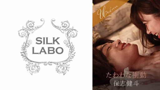 220SILKU-097 Heavy Impulse Heavy Impulse