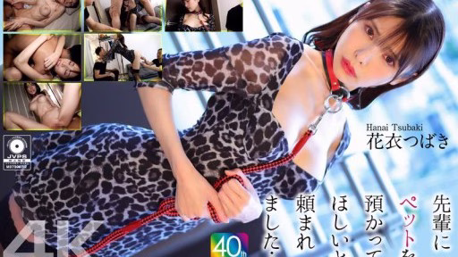 CRNX-254 Tiền Bối đã Nhờ Tôi Chăm Sóc Thú Cưng Của Anh ấy… Hanagoromo Tsubaki My Senior Asked Me To Take Care Of His Pet... Hanagoromo Tsubaki